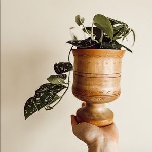 Wood Plant Holder